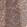 Anti-NFKBIA Antibody