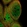 Anti-KIFC2 Antibody