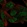 Anti-ZNF850 Antibody