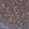 Anti-PIP5K1A Antibody