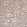 Anti-ETNK1 Antibody