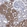 Anti-IMPA2 Antibody