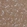 Anti-PCLO Antibody