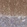 Anti-PCLO Antibody