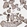 Anti-CHML Antibody