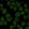 Anti-TTC24 Antibody