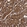 Anti-TTI2 Antibody