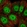 Anti-OAZ3 Antibody