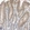 Anti-MICAL1 Antibody