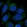 Anti-ZNF586 Antibody