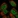 Anti-PM20D2 Antibody