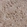 Anti-LYRM4 Antibody