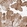 Anti-TSR2 Antibody
