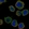 Anti-TNFSF13B Antibody