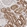 Anti-C6orf62 Antibody