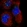 Anti-SYTL3 Antibody