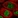 Anti-ZFP14 Antibody