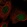Anti-ZNF771 Antibody
