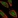 Anti-GRB2 Antibody