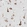 Anti-LRRC59 Antibody