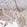 Anti-C2CD2 Antibody