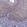 Anti-RIPK4 Antibody