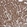 Anti-BDH1 Antibody