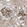 Anti-PPM1F Antibody
