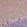 Anti-HDAC5 Antibody