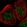 Anti-POLR1C Antibody
