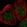 Anti-POLR1C Antibody