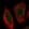 Anti-MAPK7 Antibody