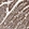 Anti-AOC1 Antibody
