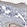 Anti-PROM1 Antibody