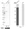 Anti-PYGB Antibody