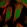 Anti-ZNF518B Antibody