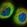 Anti-ZNF772 Antibody