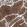Anti-PPCS Antibody