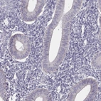 Immunohistochemical staining of human endometrium shows low expression as expected.