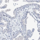Immunohistochemical staining of human placenta shows low expression as expected.