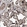Anti-DUSP22 Antibody