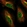 Anti-ABCG1 Antibody