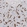 Anti-DCDC2 Antibody