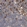 Anti-ASCC3 Antibody