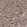 Anti-FOXRED2 Antibody