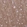 Anti-GABBR2 Antibody