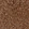 Anti-KYNU Antibody