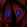 Anti-AHI1 Antibody