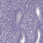 Immunohistochemical staining of human endometrium shows low expression as expected.