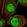 Anti-HSF2BP Antibody